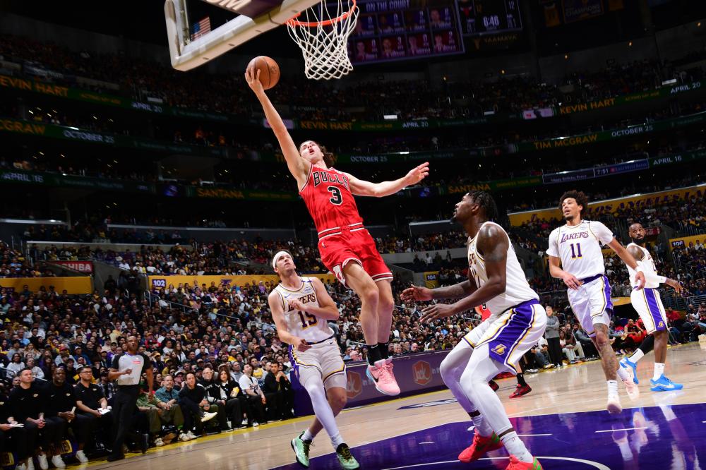 伦敦奥运马术冠军两匹传奇坐骑同日安乐死 伴随骑手共创20年辉煌岁月