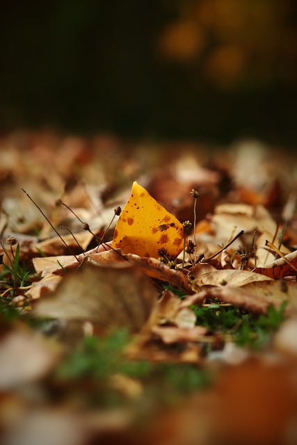 还在遥远的 还在遥远的