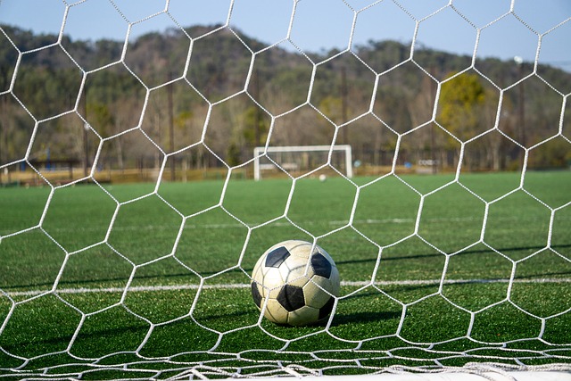 场上曾风光 场上曾风光