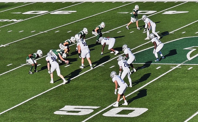 澳大利亚队 澳大利亚队