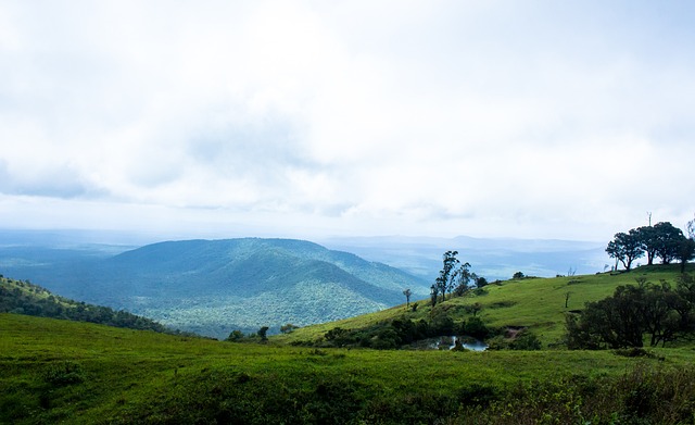 在社交媒体 在社交媒体