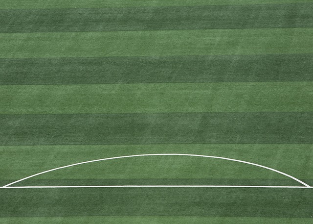 的整体实力 的整体实力