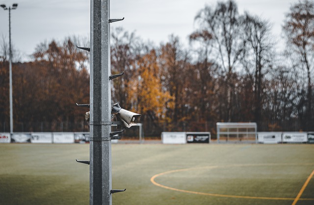 果的还有一 果的还有一