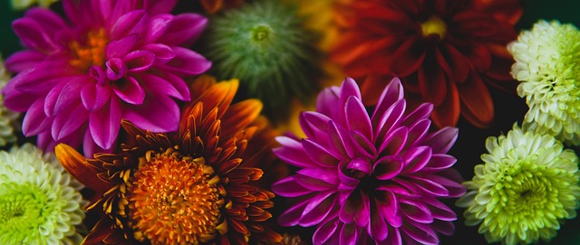 擁有一位能 擁有一位能